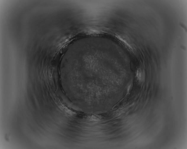 X0000091551348200709071207