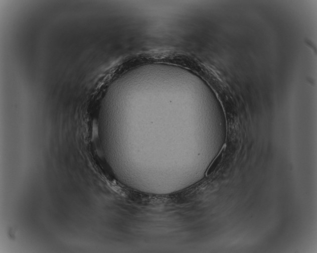X0000091551349200709071207