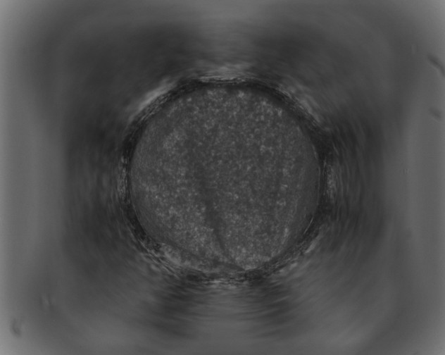 X0000091551350200709071207