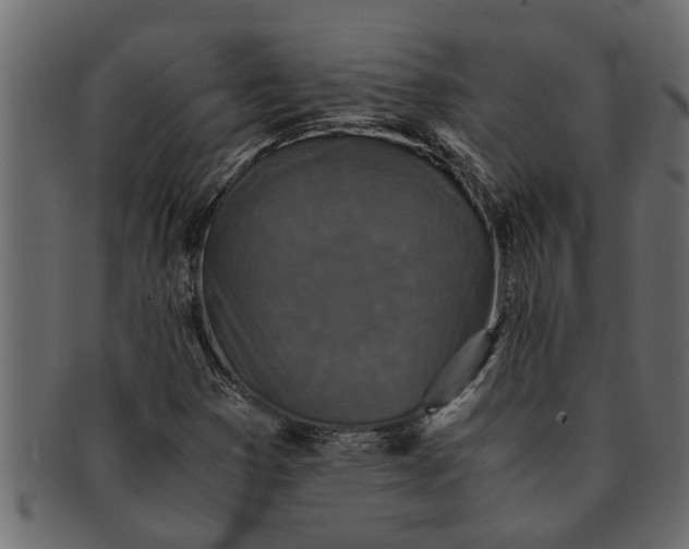 X0000091551353200709071207