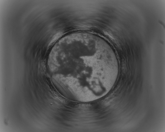 X0000091551354200709071207