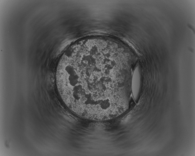 X0000091551355200709071207
