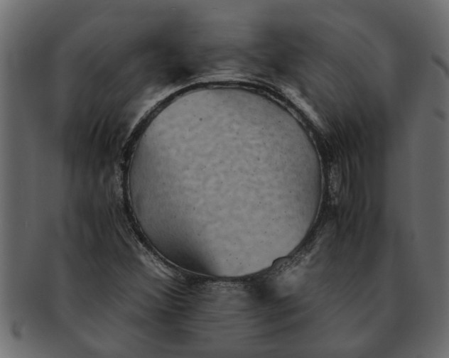 X0000091551356200709071207
