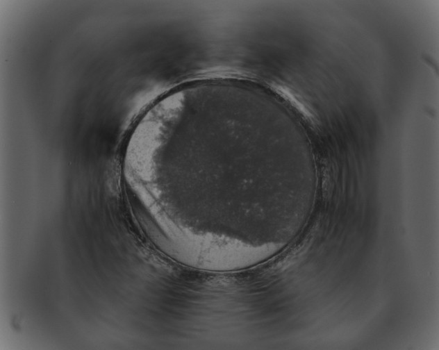 X0000091551358200709071207