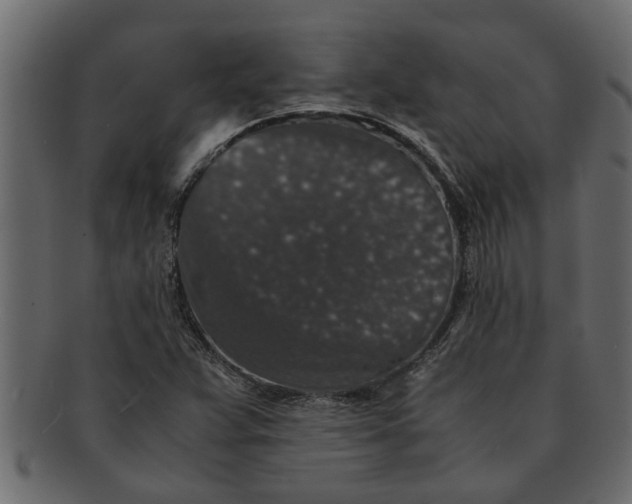 X0000091551359200709071207