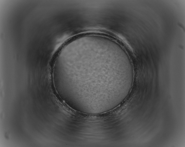 X0000091551360200709071207