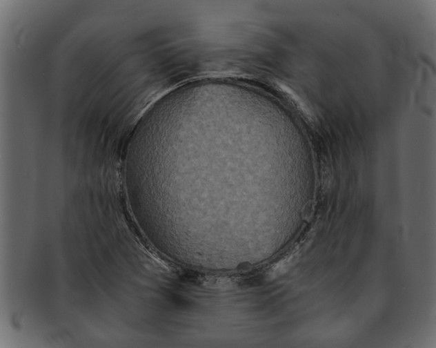 X0000091551361200709071207