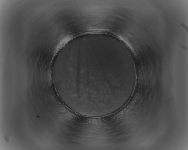X0000091551362200709071207