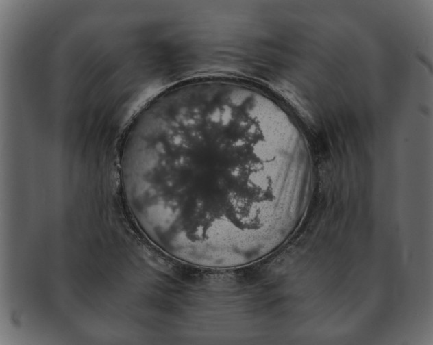X0000091551363200709071207