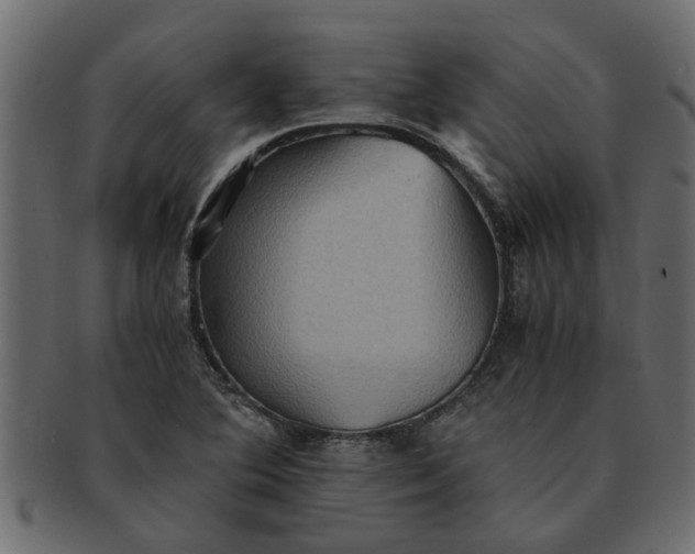 X0000091551364200709071207