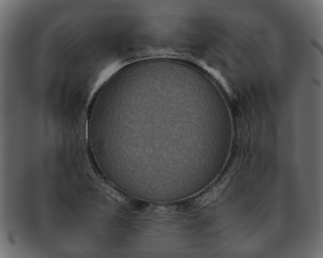X0000091551365200709071206