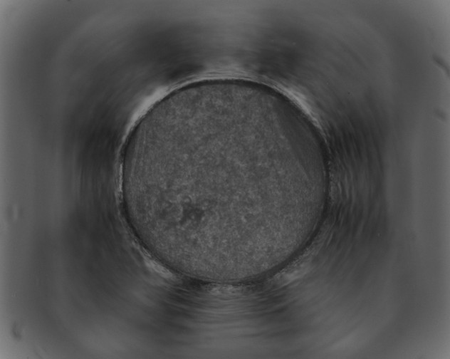 X0000091551366200709071206