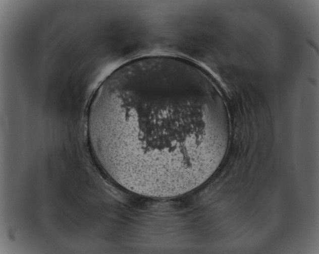 X0000091551367200709071206