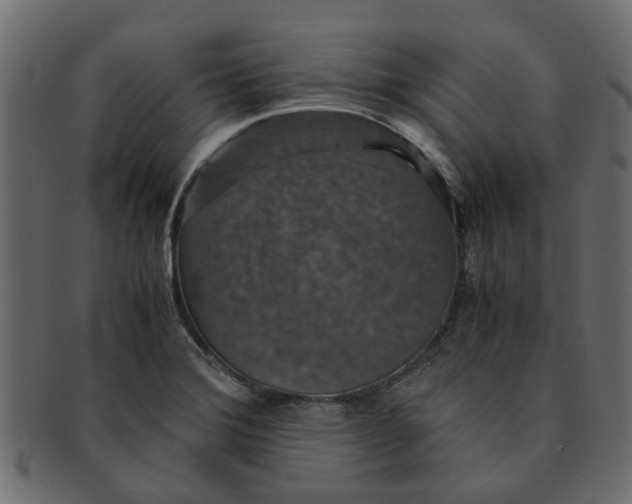 X0000091551372200709071206