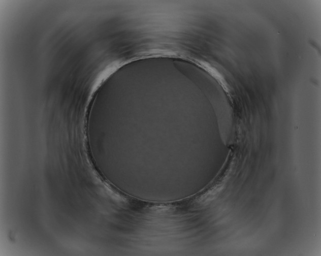 X0000091551373200709071206