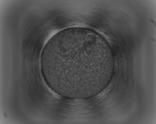 X0000091551375200709071206