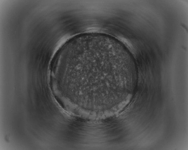 X0000091551376200709071206