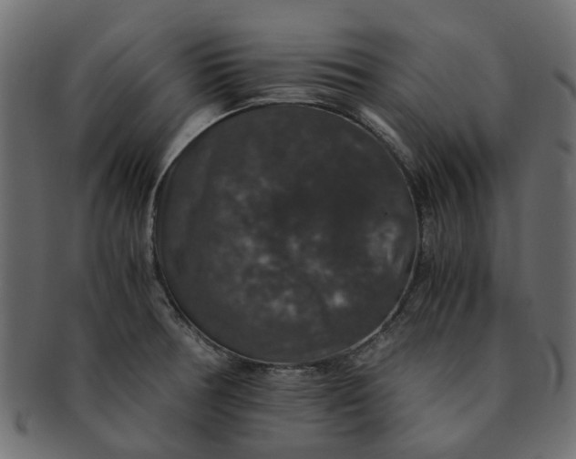 X0000091551378200709071206