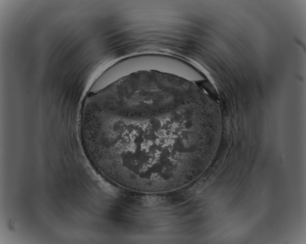 X0000091551379200709071206