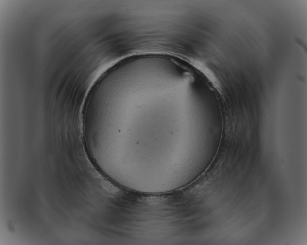 X0000091551380200709071206