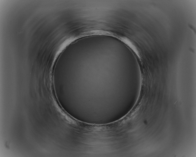 X0000091551381200709071206