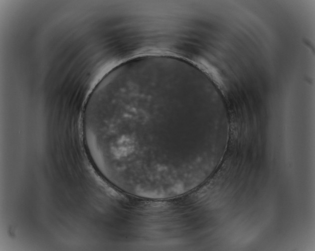 X0000091551382200709071206