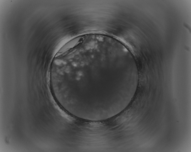 X0000091551383200709071206