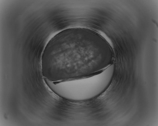 X0000091551388200709071206