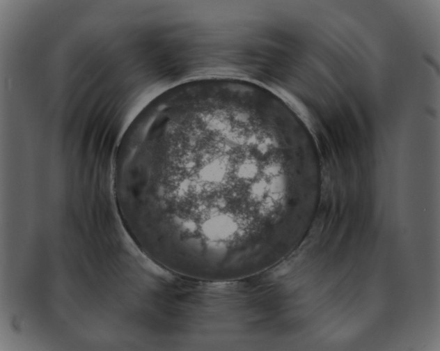 X0000091551390200709071206