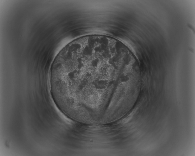 X0000091551391200709071206