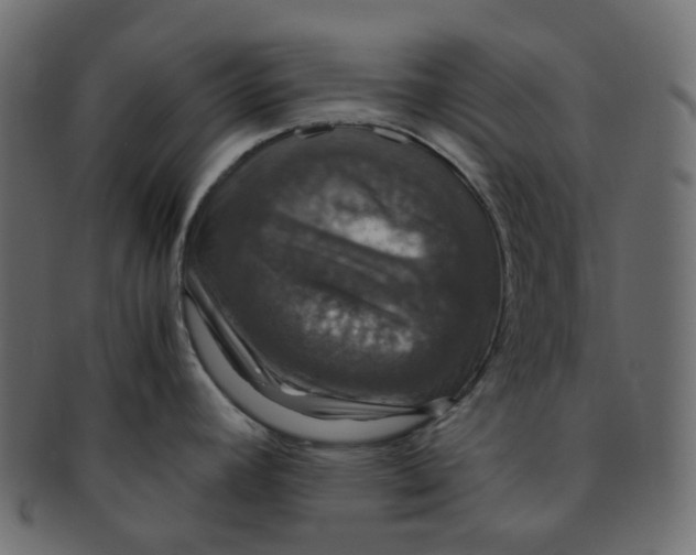 X0000091551392200709071206