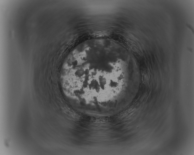 X0000091551393200709071205