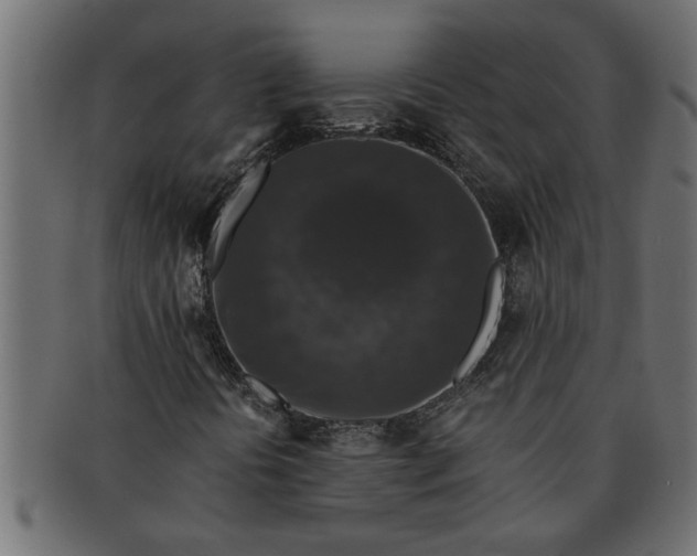 X0000091551394200709071205