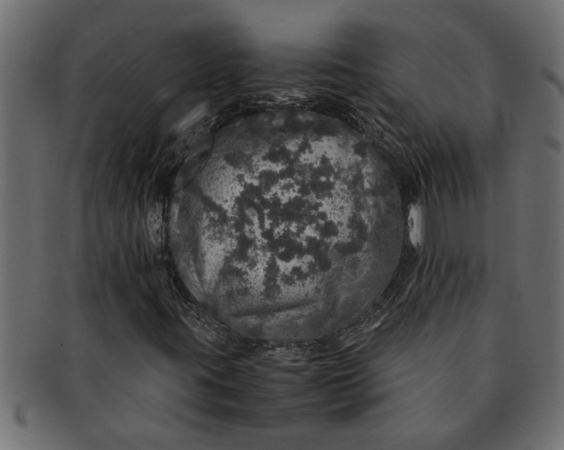 X0000091551395200709071205