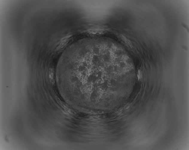 X0000091551396200709071205
