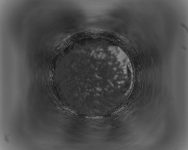 X0000091551397200709071205