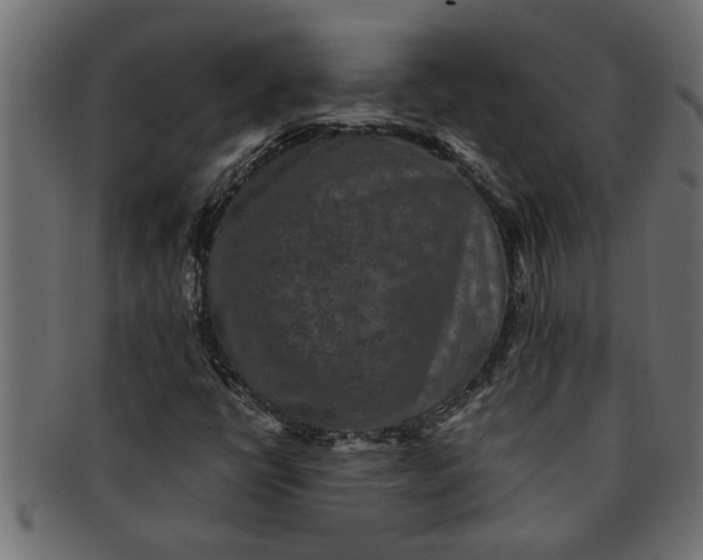 X0000091551398200709071205