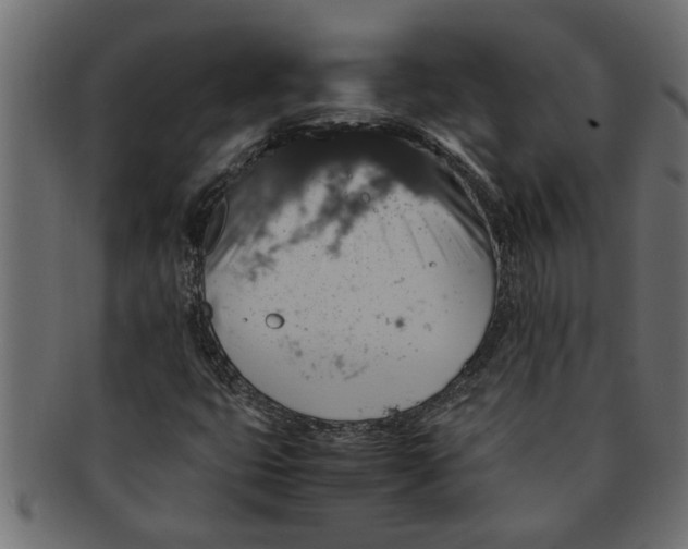 X0000091551399200709071205