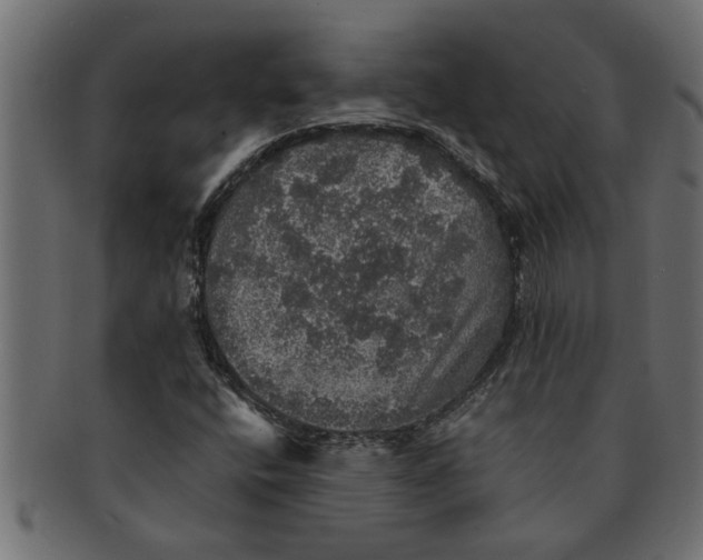 X0000091551400200709071205