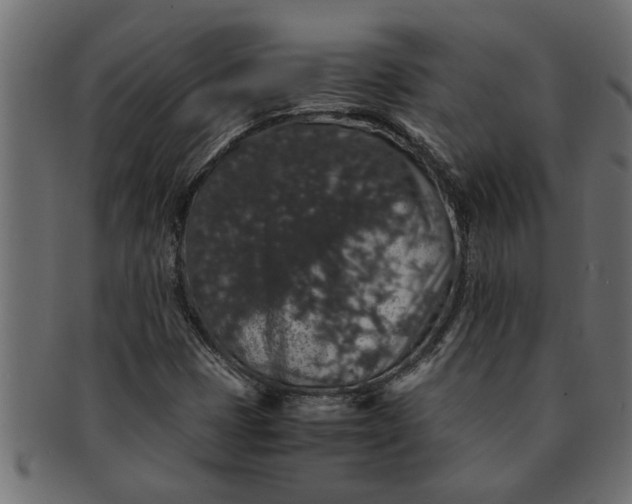 X0000091551401200709071205