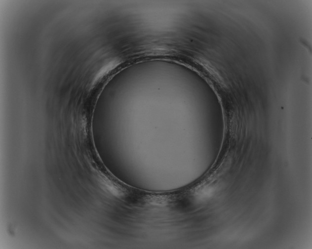 X0000091551402200709071205
