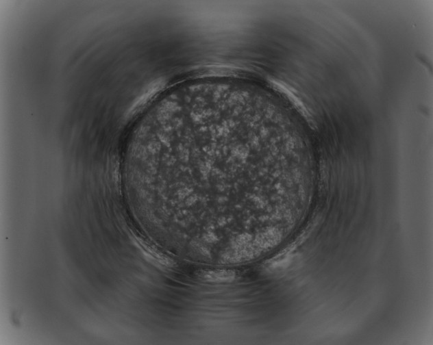 X0000091551403200709071205