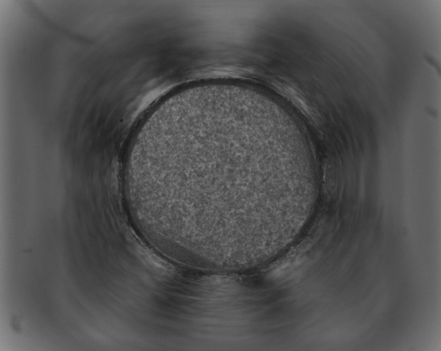 X0000091551404200709071205