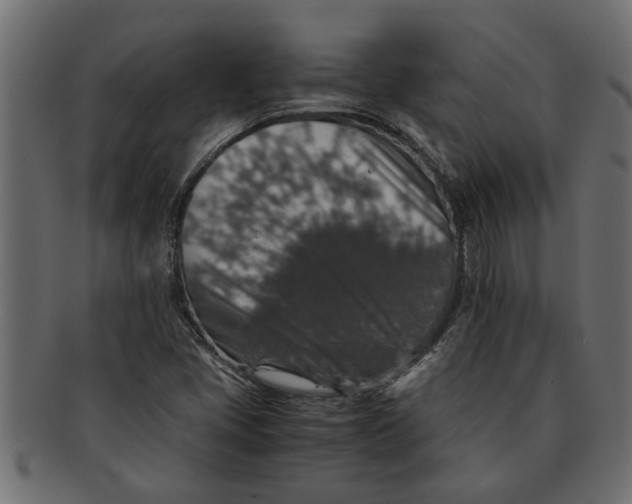 X0000091551405200709071205