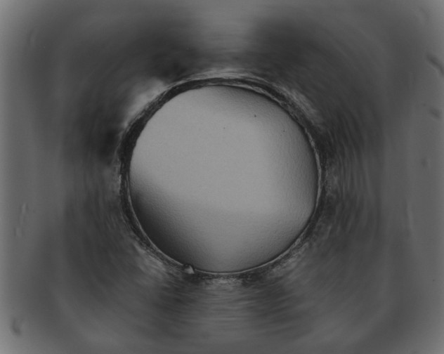 X0000091551406200709071205