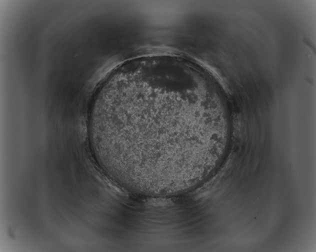 X0000091551407200709071205
