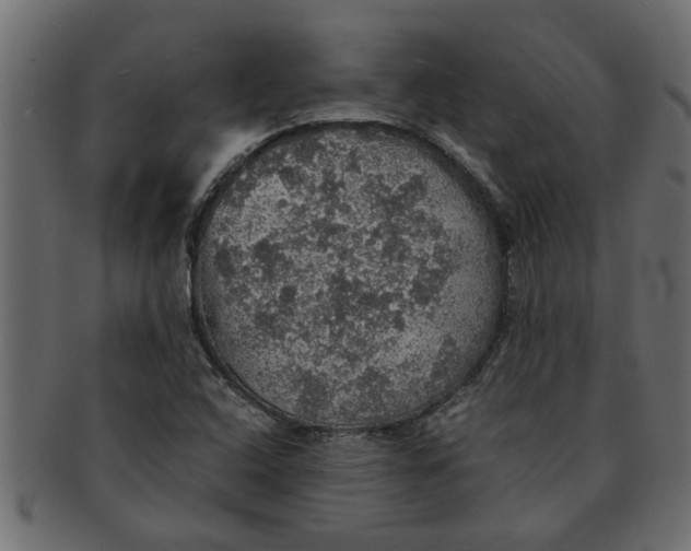 X0000091551408200709071206