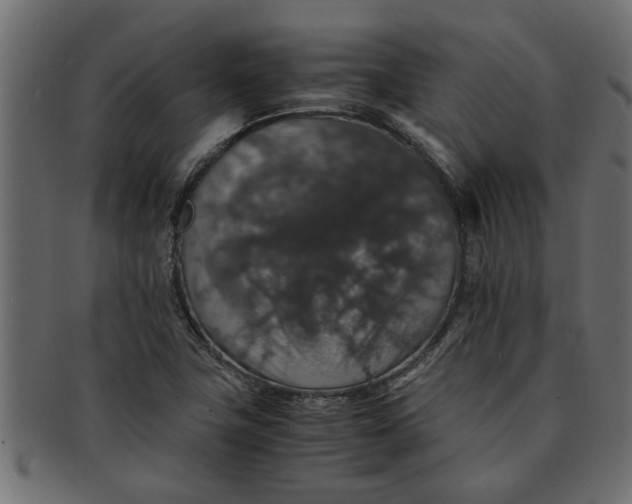X0000091551411200709071206