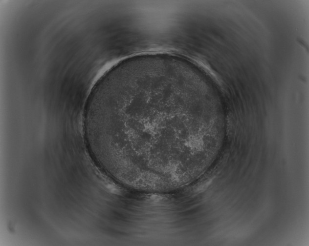 X0000091551412200709071206