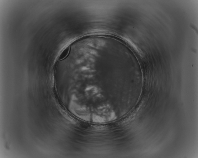 X0000091551413200709071206